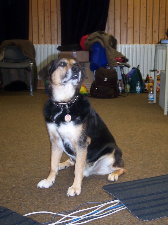 Buchenau 2007 (02).JPG